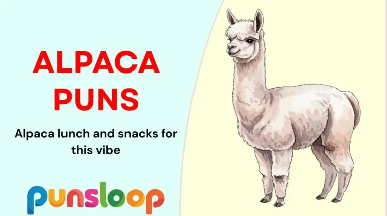 Alpaca Puns