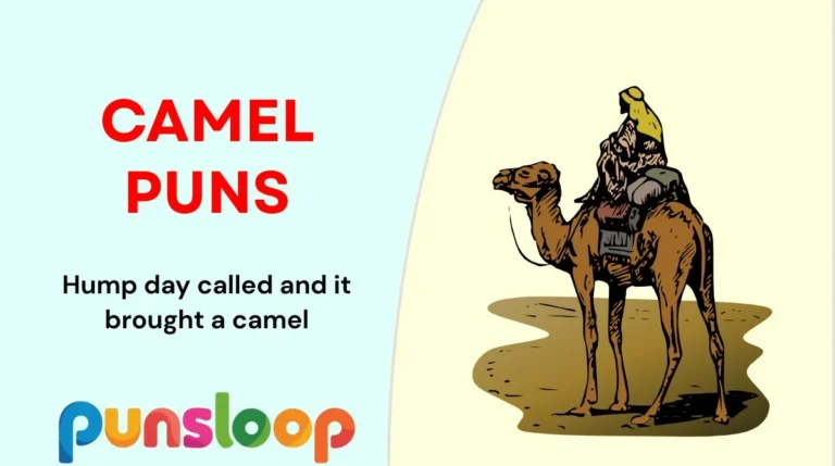 Camel Puns