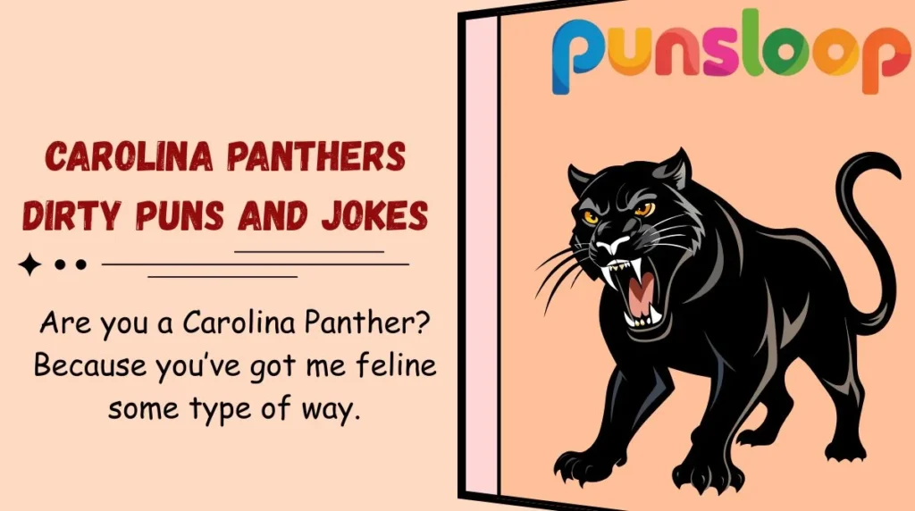 Carolina Panthers Dirty Puns and Jokes