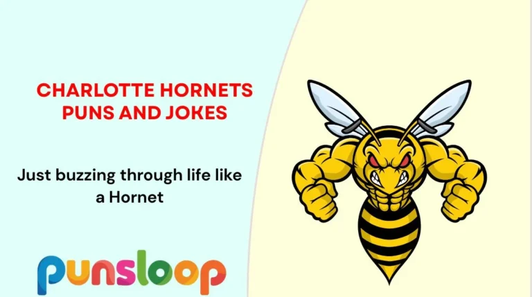 Charlotte Hornets Puns and Jokes