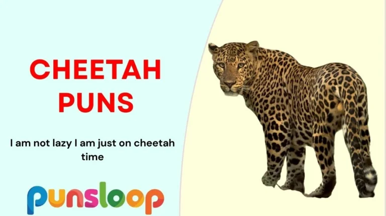Cheetah Puns