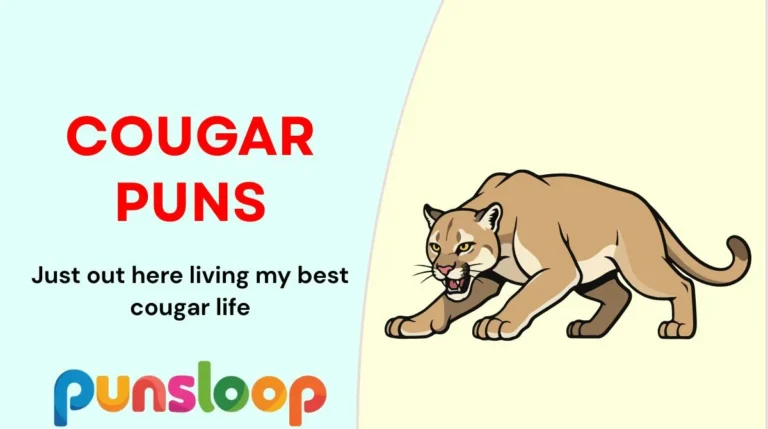 Cougar Puns