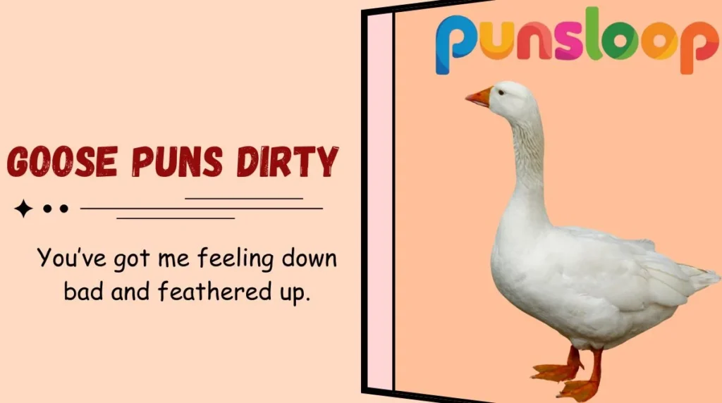 Goose Puns Dirty