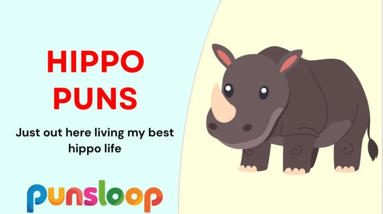 Hippo Puns