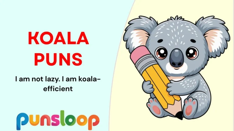 Koala Puns