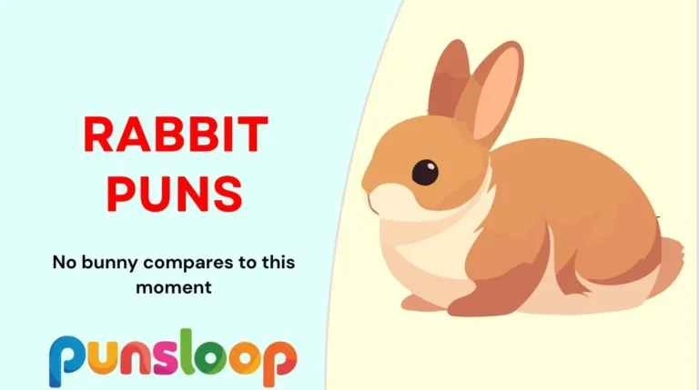 Rabbit Puns