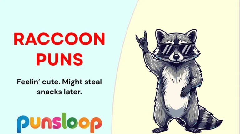 Raccoon Puns
