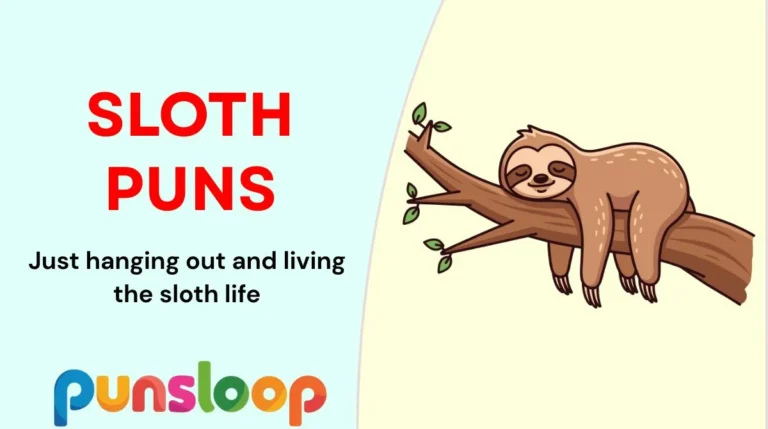 Sloth Puns