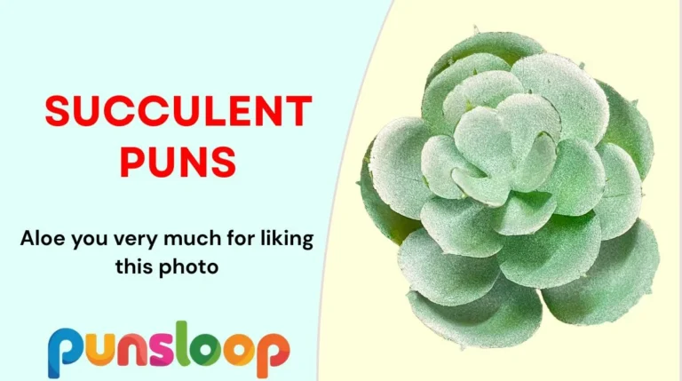 Succulent Puns