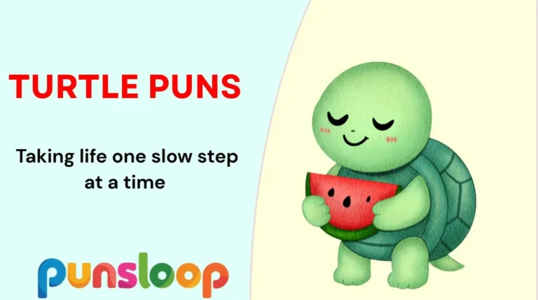 Turtle Puns
