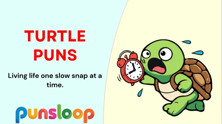 Turtle Puns