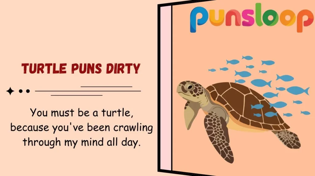 Turtle Puns Dirty
