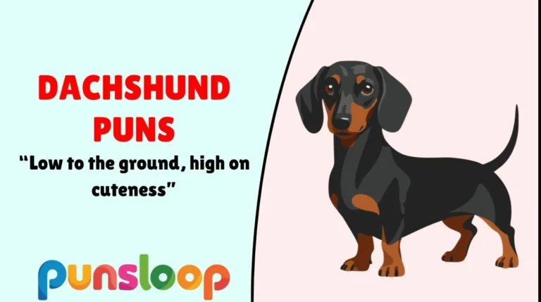Dachshund Puns