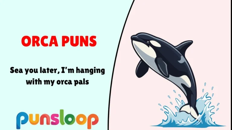Orca Puns