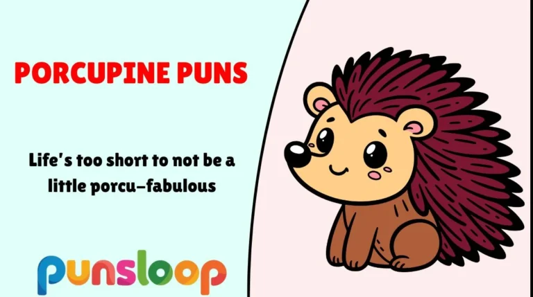 Porcupine Puns